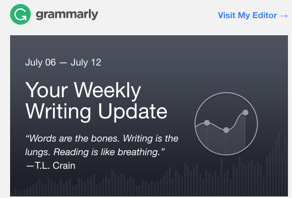 What is Grammarly? - Free grammar checker tool online! - Insight