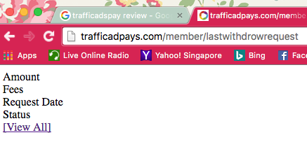 Traffic Ad Pays Review - bug 4.1
