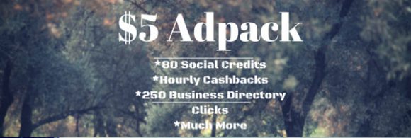 Traffic Ad Pays Review - Adpack 2