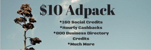 Traffic Ad Pays Review - Adpack 3
